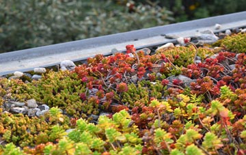 the cost of Braidwood green roof installation